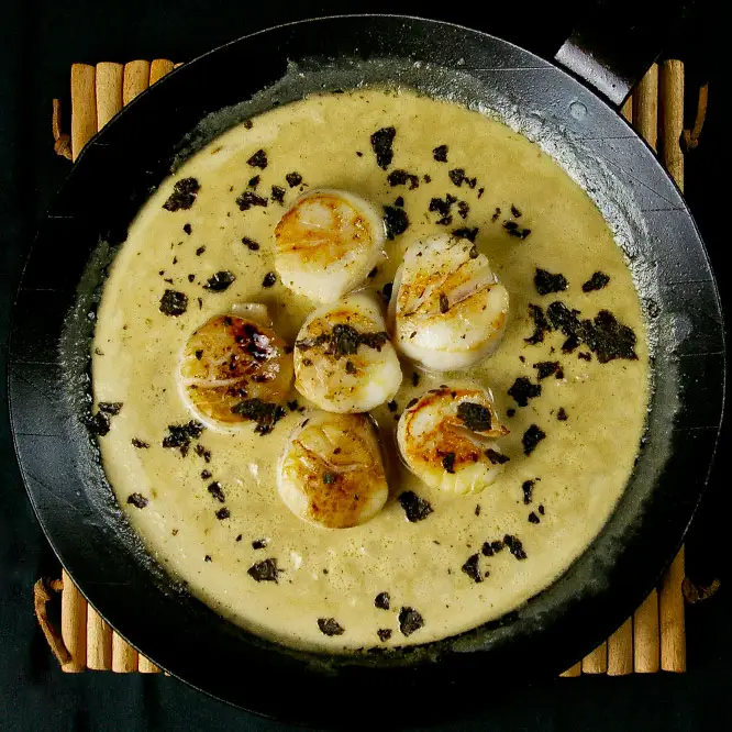 Jakobsmuscheln in Creme fraiche Herrliche Jakobsmuscheln in einer Gusseisernen Pfanne angerichtet mit einer Creme fraiche Soße und gerösteten Noriblättern